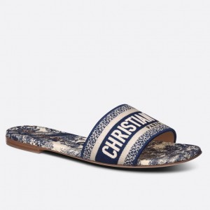 Dior Dway Slides In Blue Toile de Jouy Embroidered Cotton
