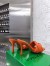 Bottega Veneta Lido Sandals In Orange Intrecciato Leather