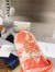 Dior Dway Slides In Bright Orange Toile de Jouy Embroidered Cotton