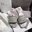 Dior Dway Slides In Grey Toile de Jouy Embroidered Cotton