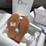 Dior Dway Slides In Grey Toile de Jouy Embroidered Cotton