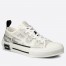 Dior Men's B23 Low-top Sneakers In Canvas with Arsham Motif