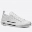 Dior Men's B23 Low-top Sneakers In White Oblique Canvas