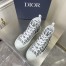 Dior Men's B23 High-top Sneakers In White and Black Oblique Canvas